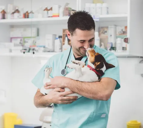 Veterinarian Holding a Small Dog & Touching Noses